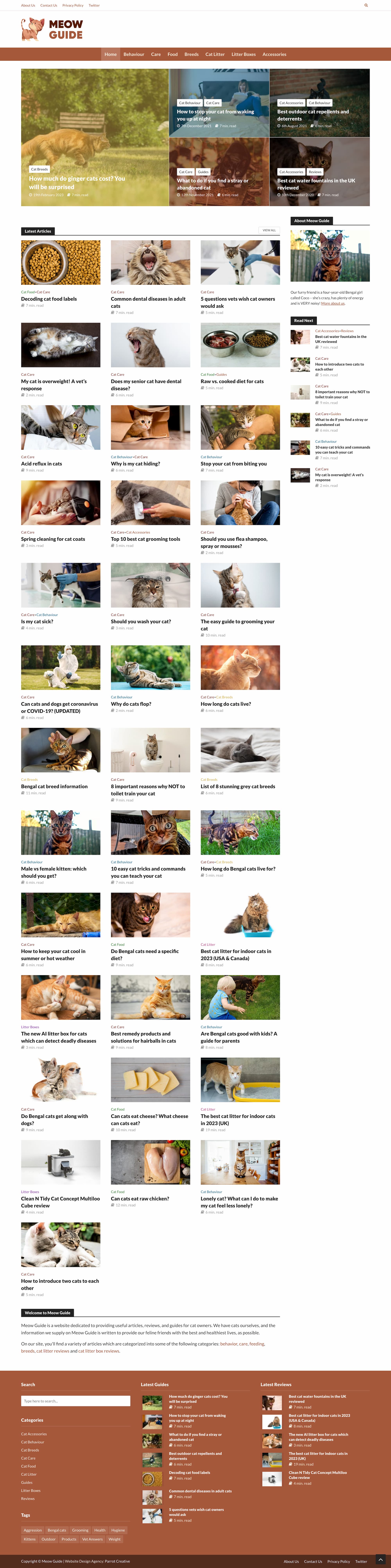 Meow Guide homepage design
